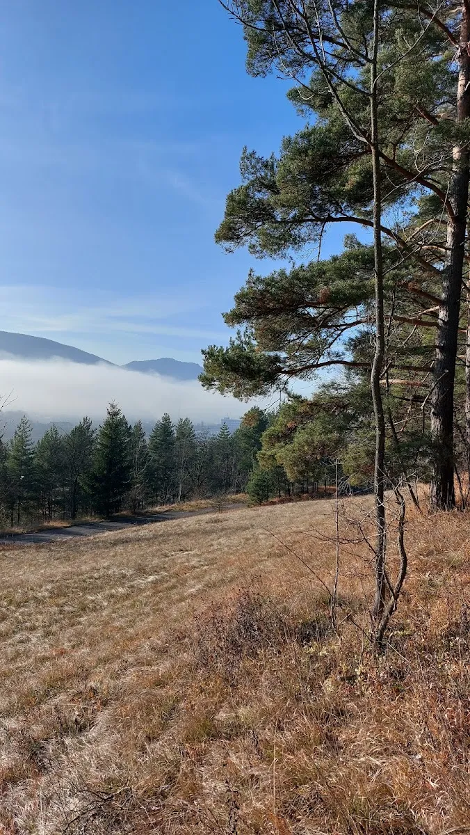 Židovský cintorín Liptovský Hrádok (lapidárium) — foto 8