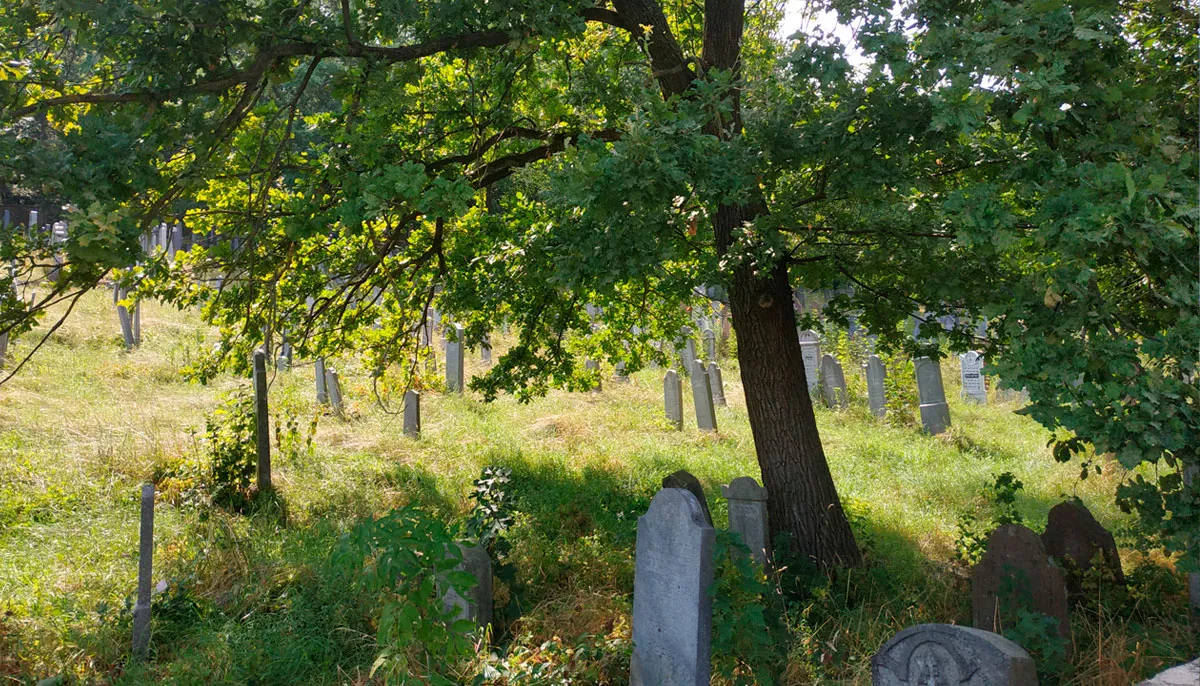 Židovský cintorín Magen Shaul (Michalovce) — foto 5