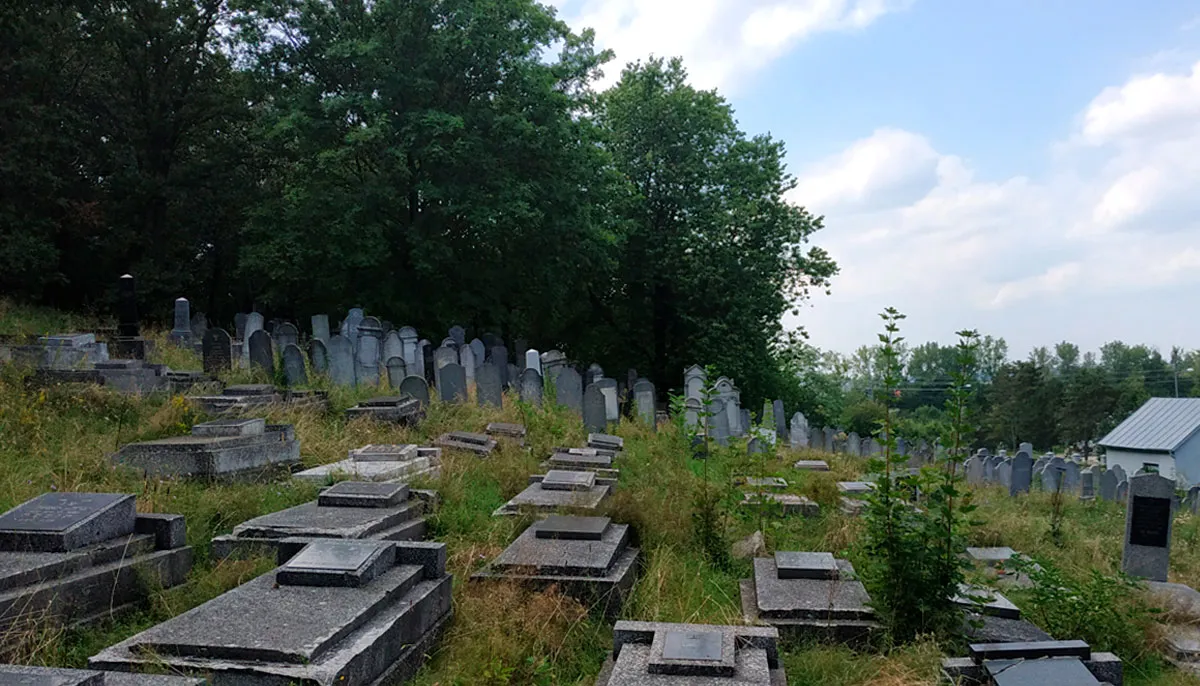 Židovský cintorín Magen Shaul (Michalovce) — foto 6