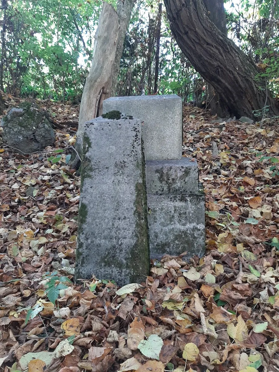 Židovský cintorín Radvaň — foto 8