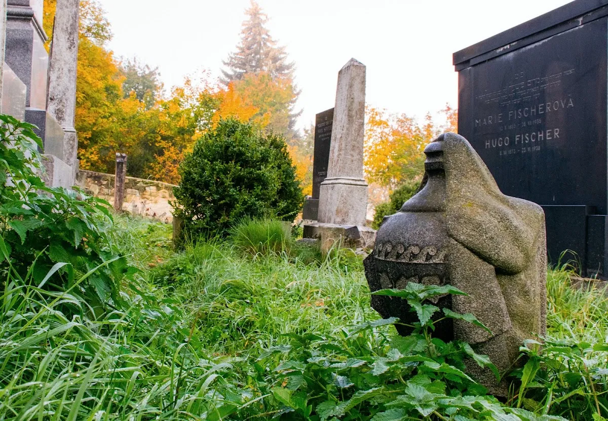 Židovský hřbitov Boskovice — foto 8