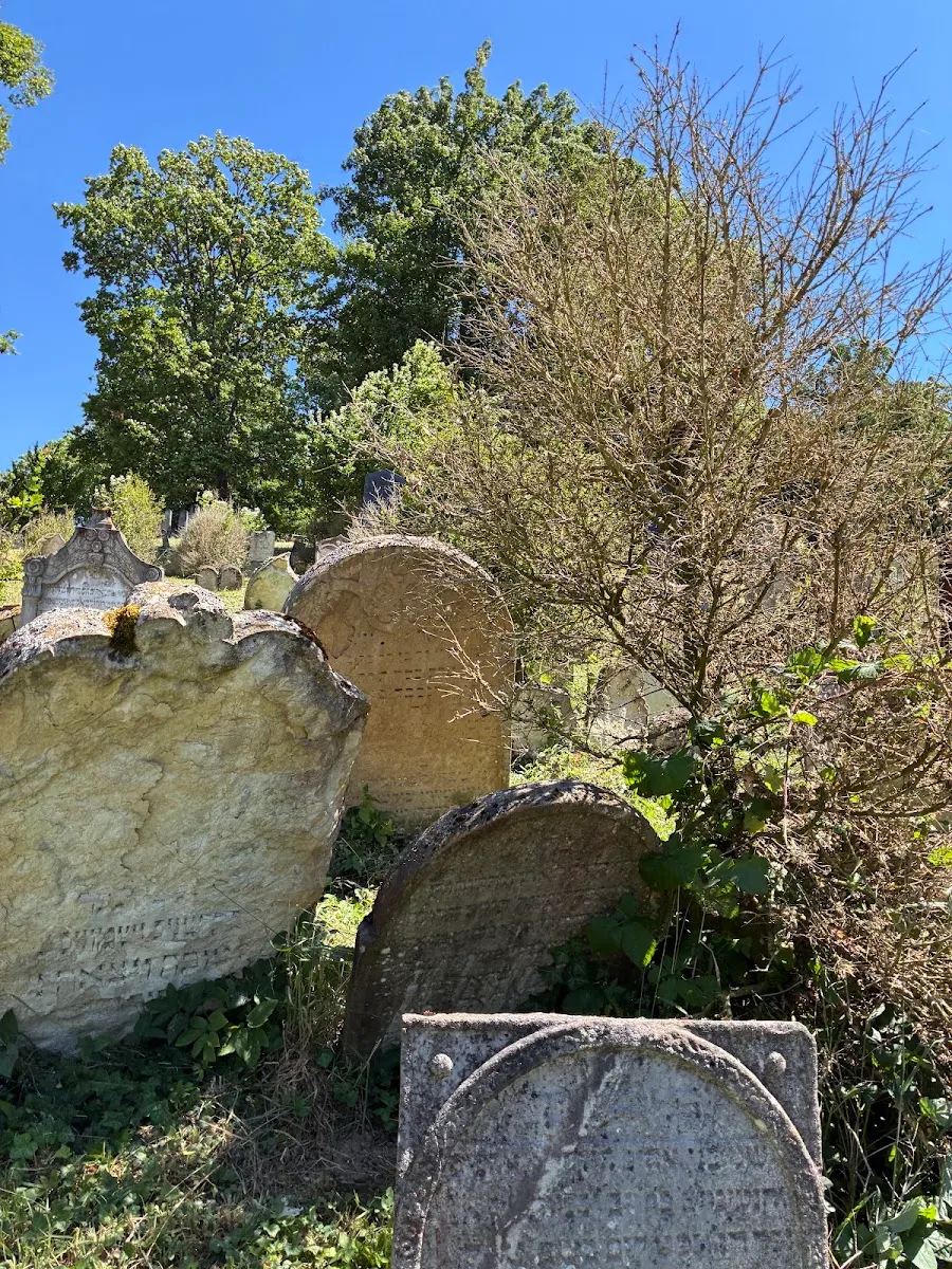 Židovský hřbitov Boskovice — foto 9