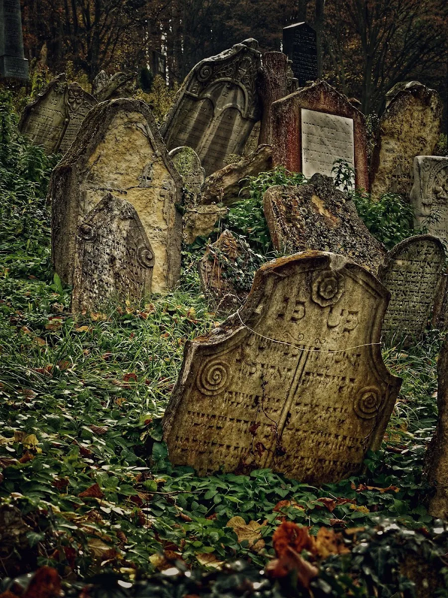 Židovský hřbitov Boskovice — foto 10