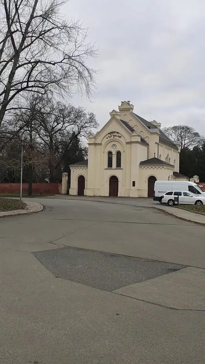 Židovský hřbitov Brno — foto 3