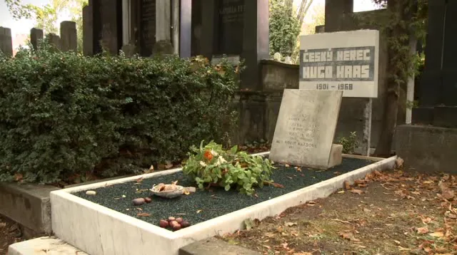 Židovský hřbitov Brno — foto 5