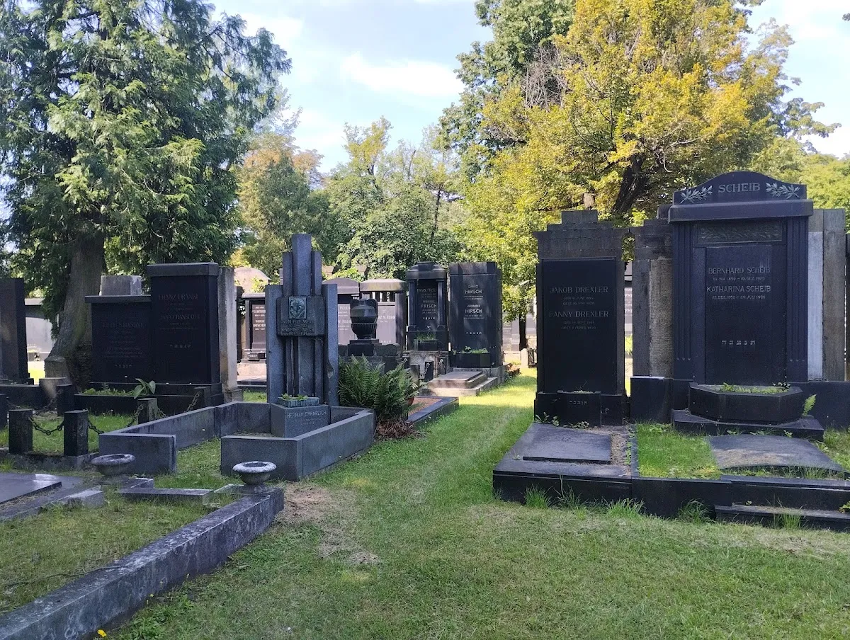 Židovský hřbitov Brno — foto 7