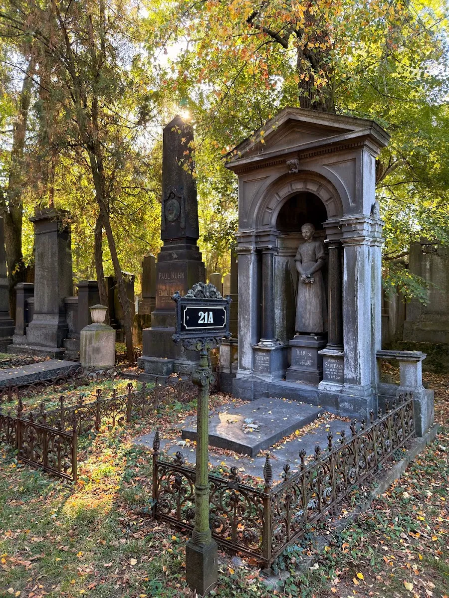 Židovský hřbitov Brno — foto 10