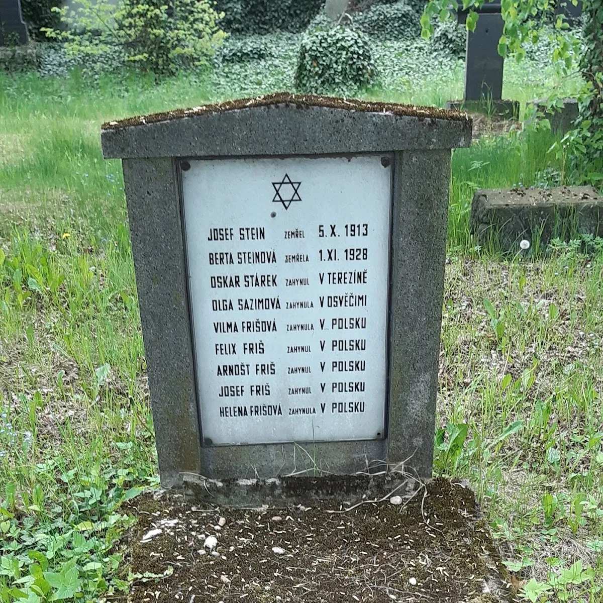 Židovský hřbitov České Budějovice — foto 5