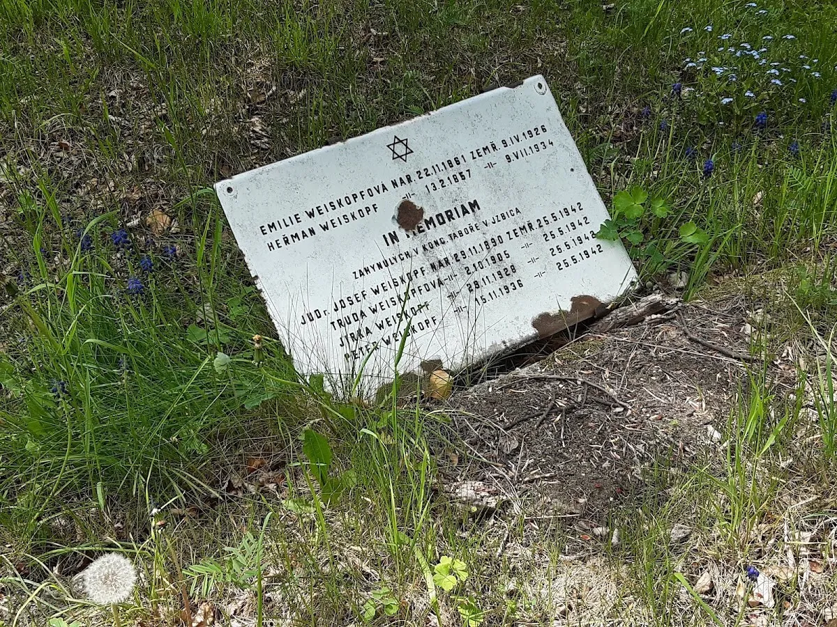 Židovský hřbitov České Budějovice — foto 6