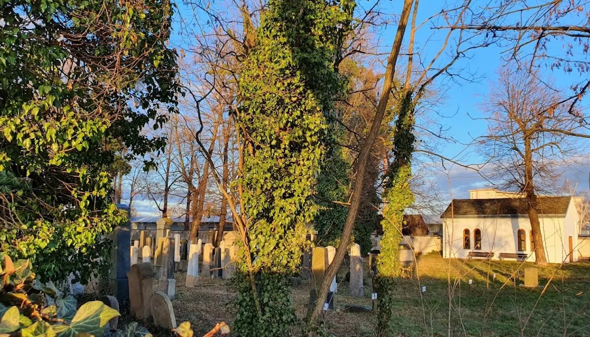 Židovský hřbitov České Budějovice — foto 9