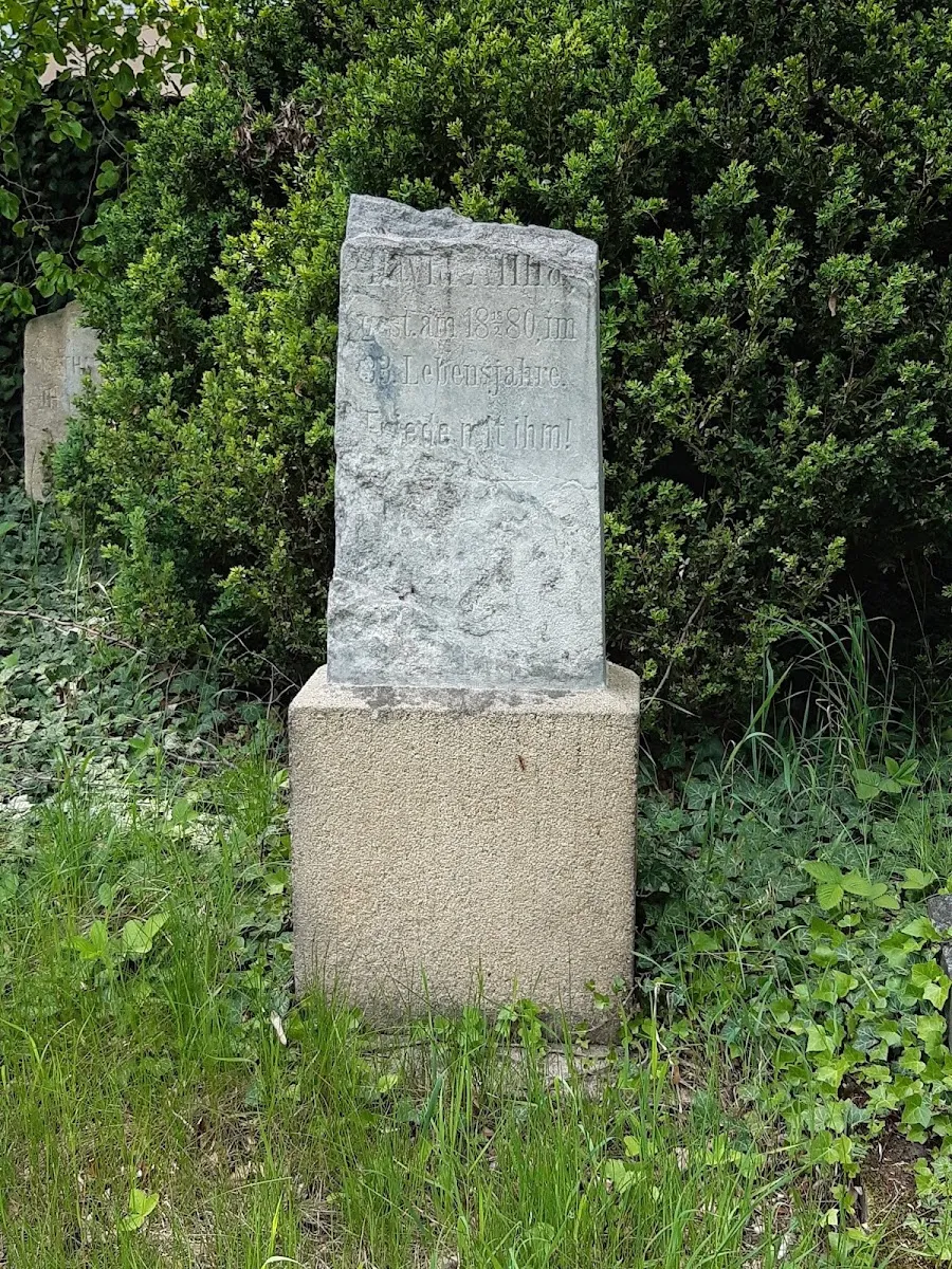 Židovský hřbitov České Budějovice — foto 10