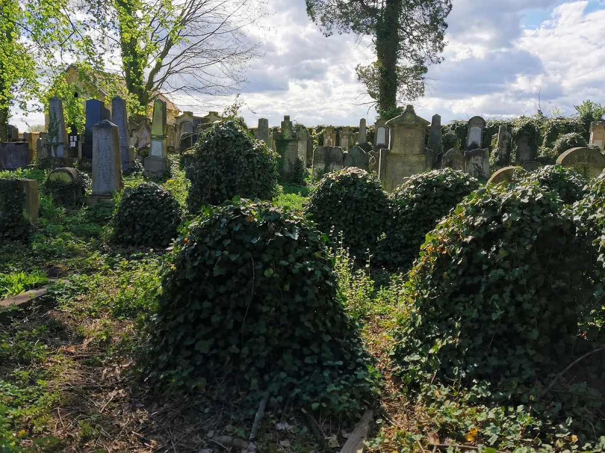 Židovský hřbitov Jičín — foto 4