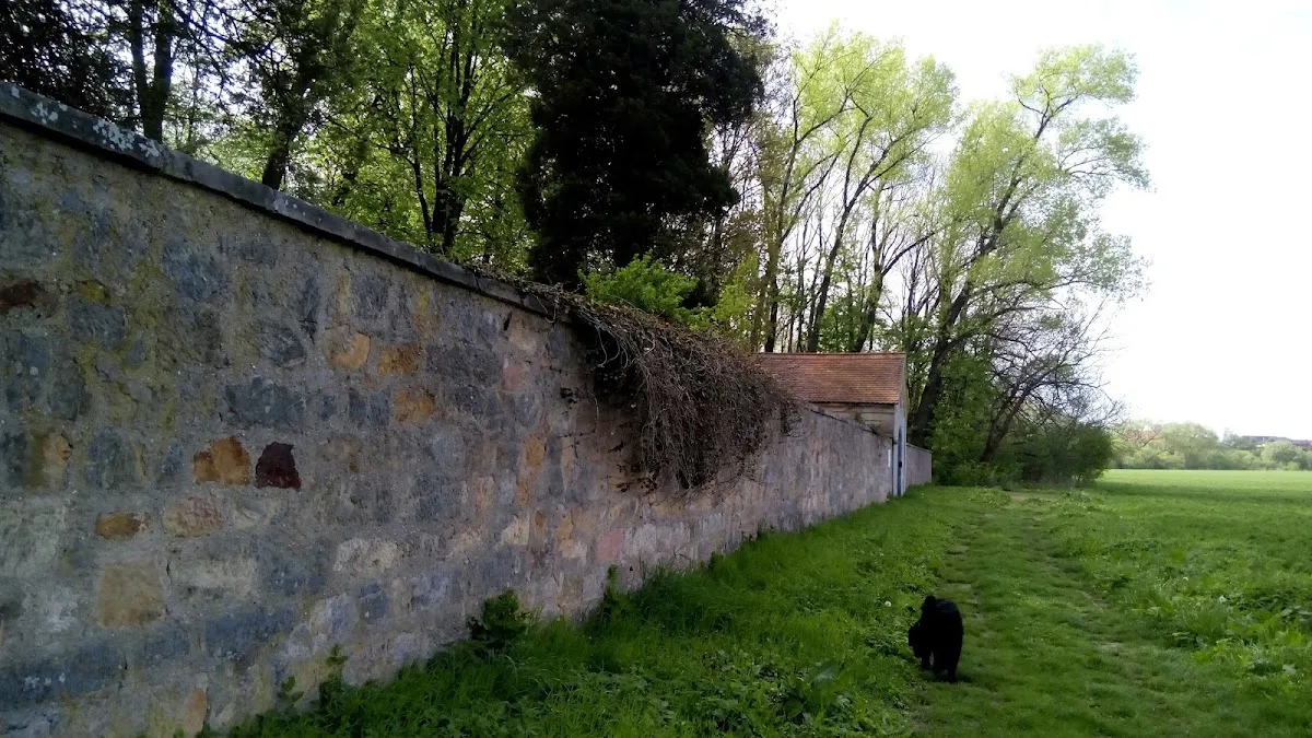 Židovský hřbitov Jičín — foto 5