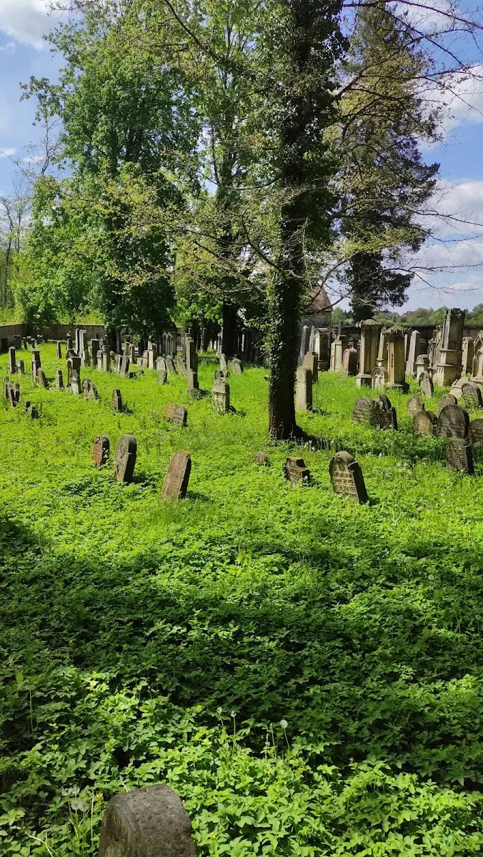 Židovský hřbitov Jičín — foto 7