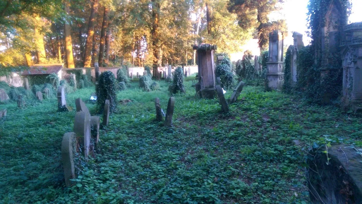 Židovský hřbitov Jičín — foto 8