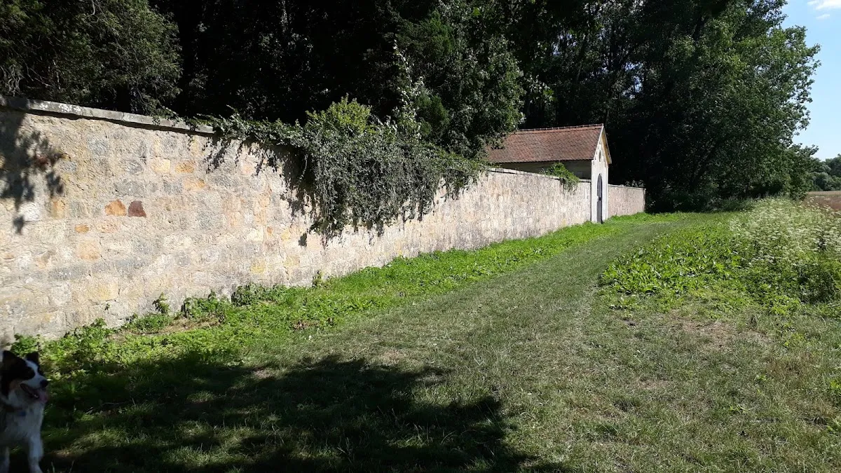 Židovský hřbitov Jičín — foto 10