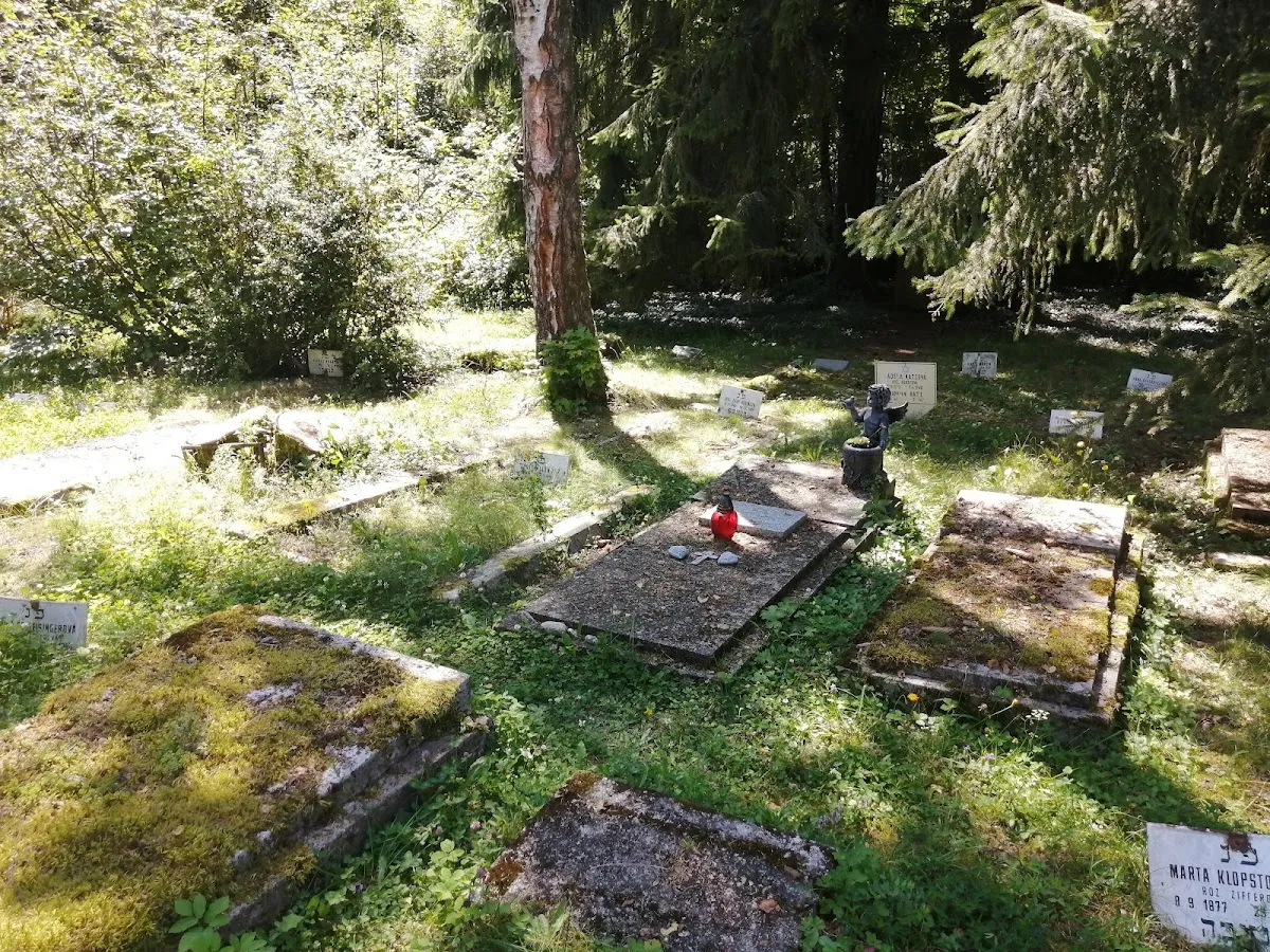Židovský hřbitov Mariánské Lázně — foto 7