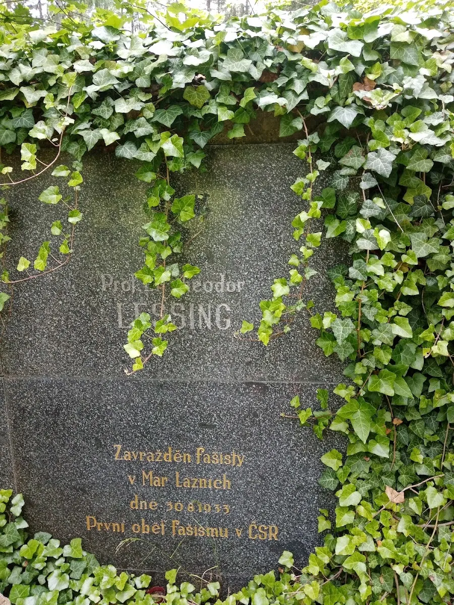 Židovský hřbitov Mariánské Lázně — foto 10