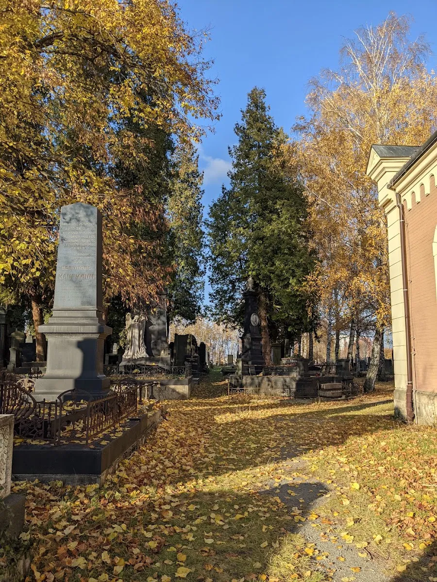 Židovský hřbitov Olomouc — foto 2