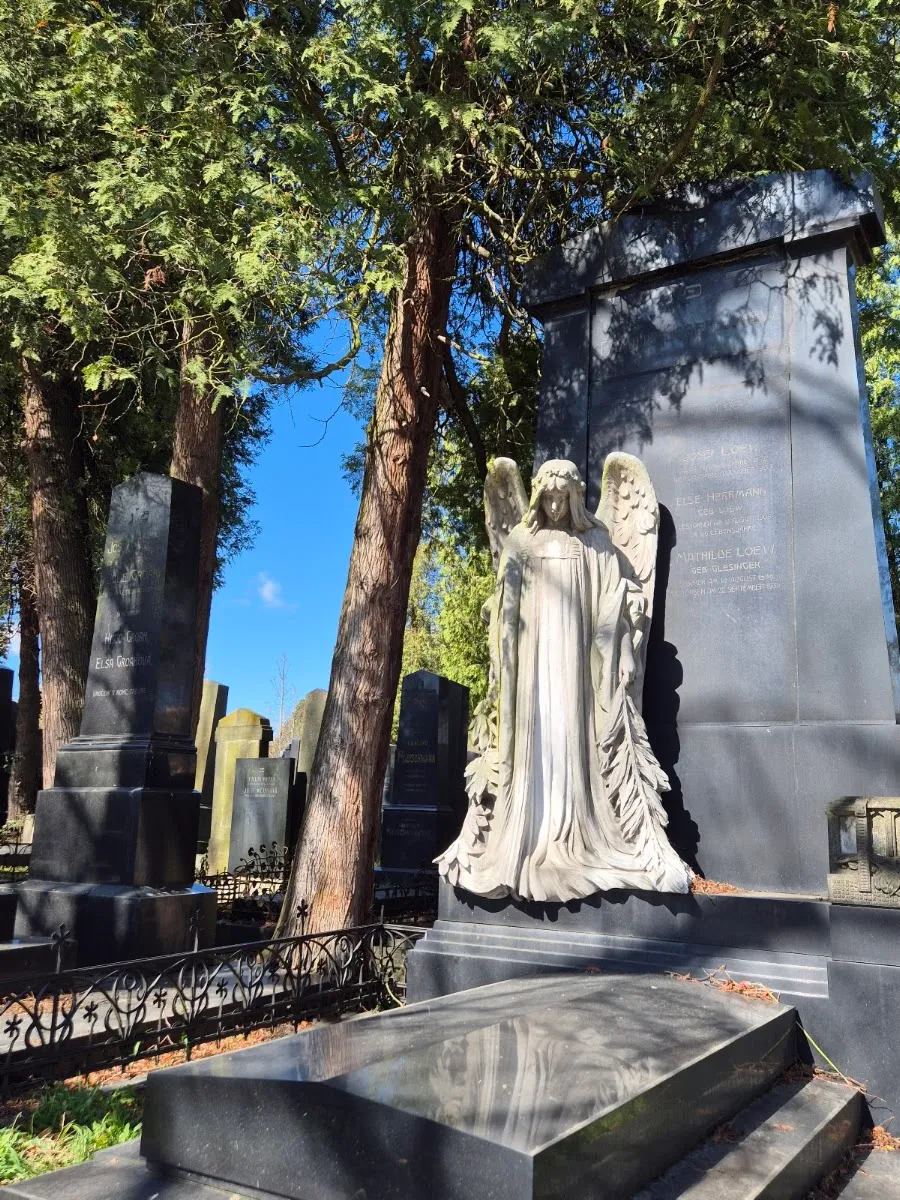 Židovský hřbitov Olomouc — foto 5