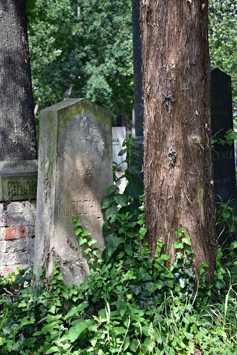 Židovský hřbitov Olomouc — foto 8
