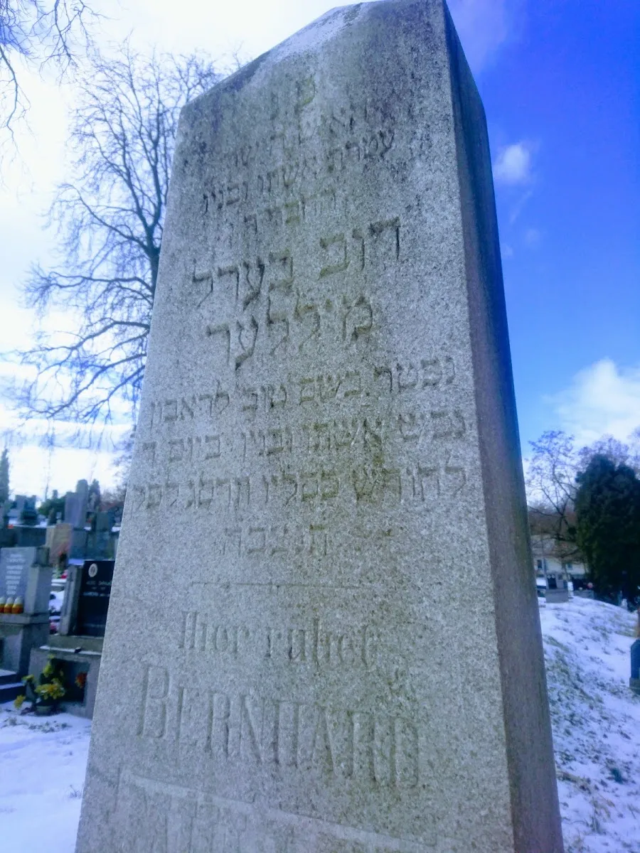 Židovský hřbitov Ostrava — foto 2