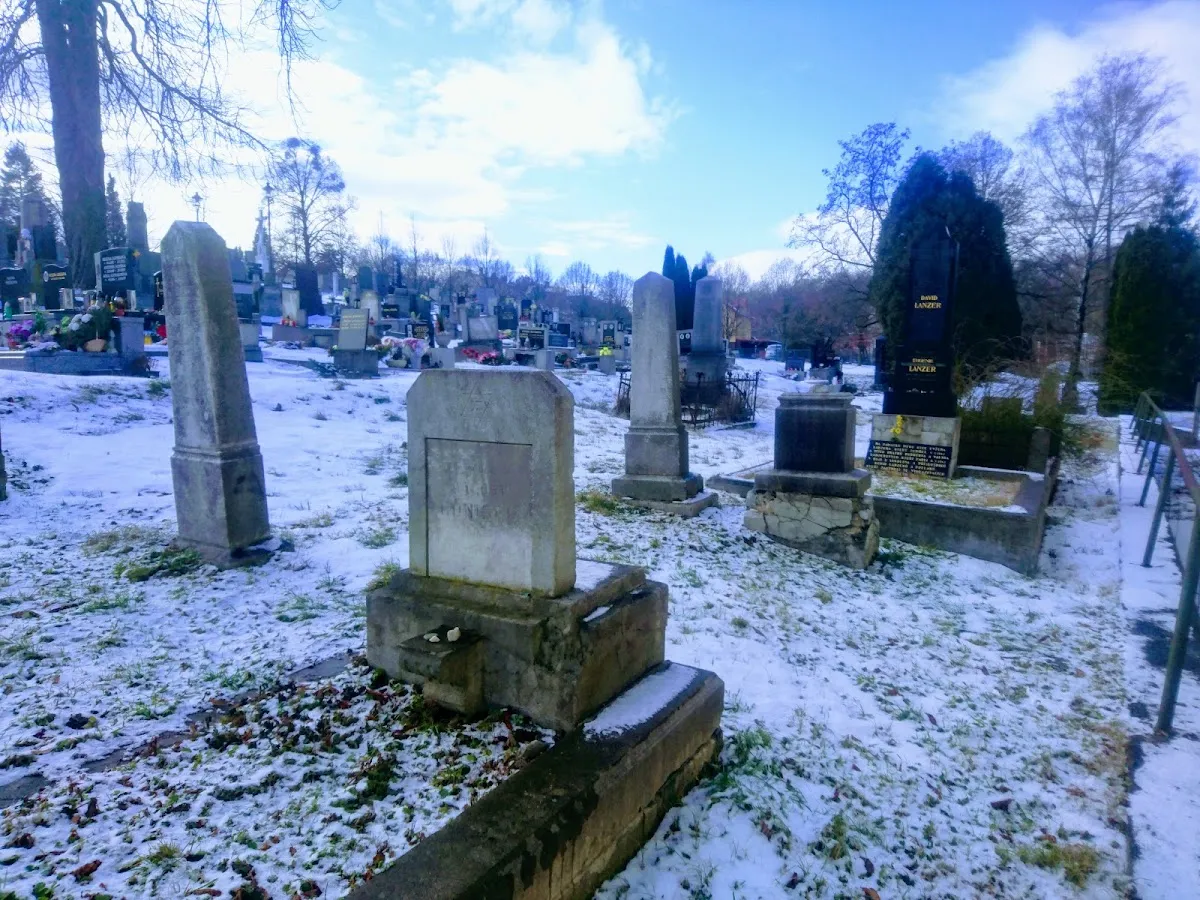 Židovský hřbitov Ostrava — foto 3
