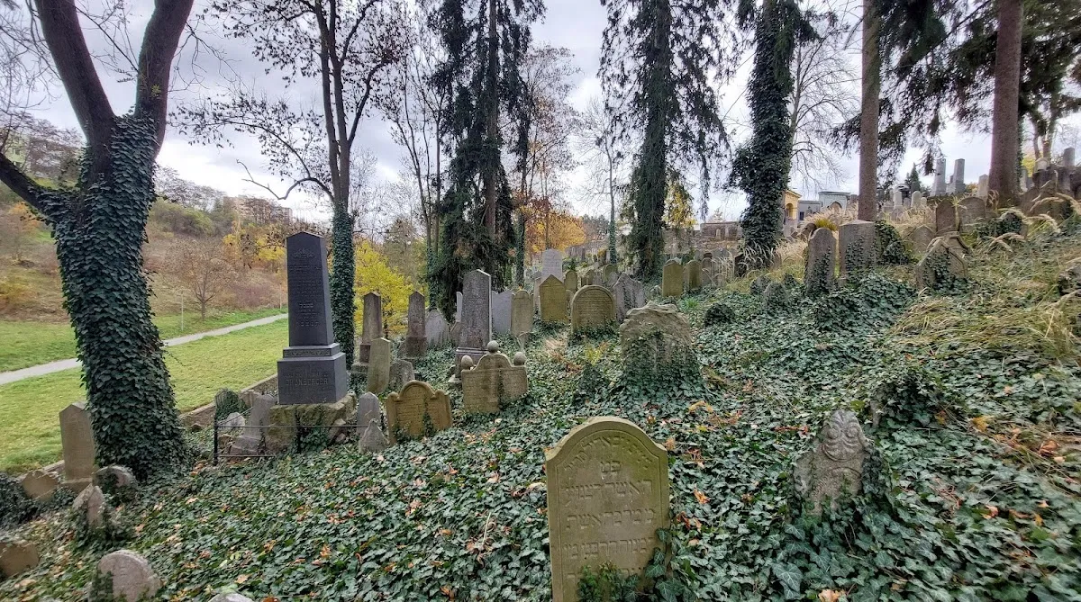Židovský hřbitov Třebíč — foto 7