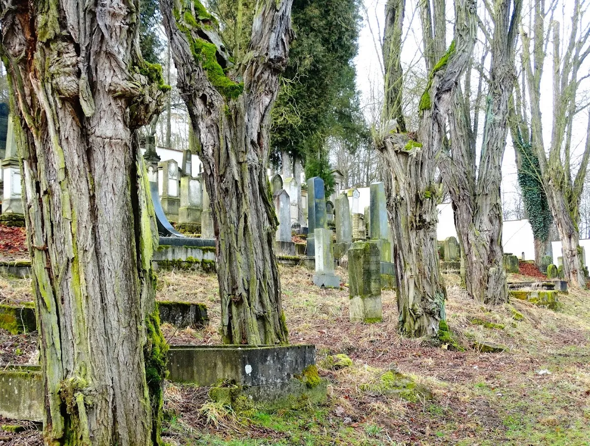 Židovský hřbitov Úštěk — foto 9