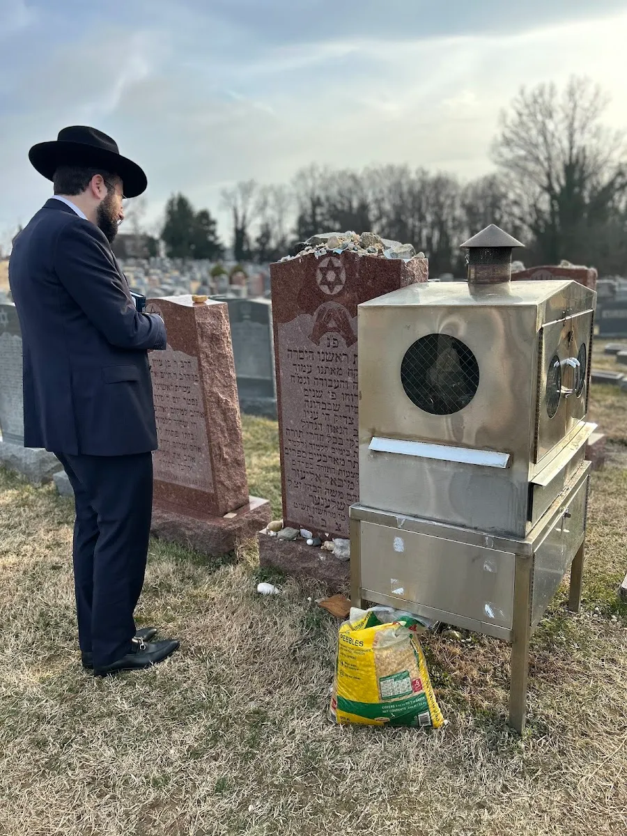 Zion of Rabbi Michoel Elizer Forshlager רבי מיכאל אליעזר פארשלעגער — foto 7