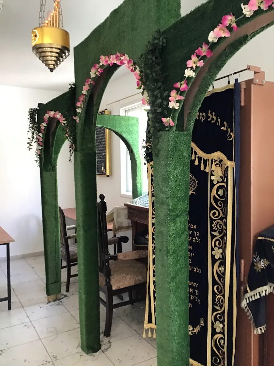Zlotshev Synagogue — foto 5