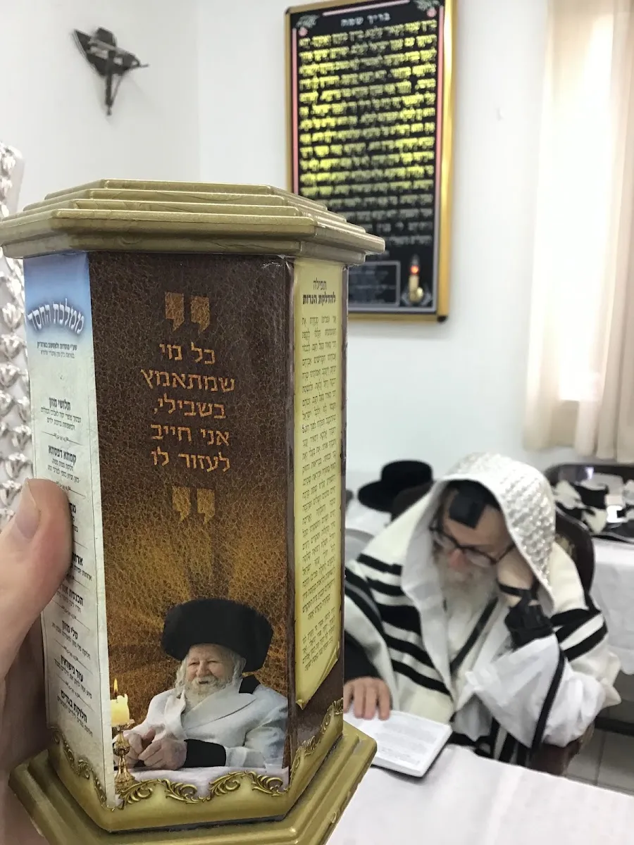 Zlotshev Synagogue — foto 7