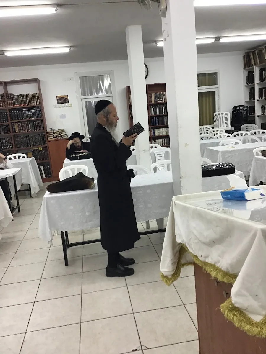 Zlotshev Synagogue — foto 8